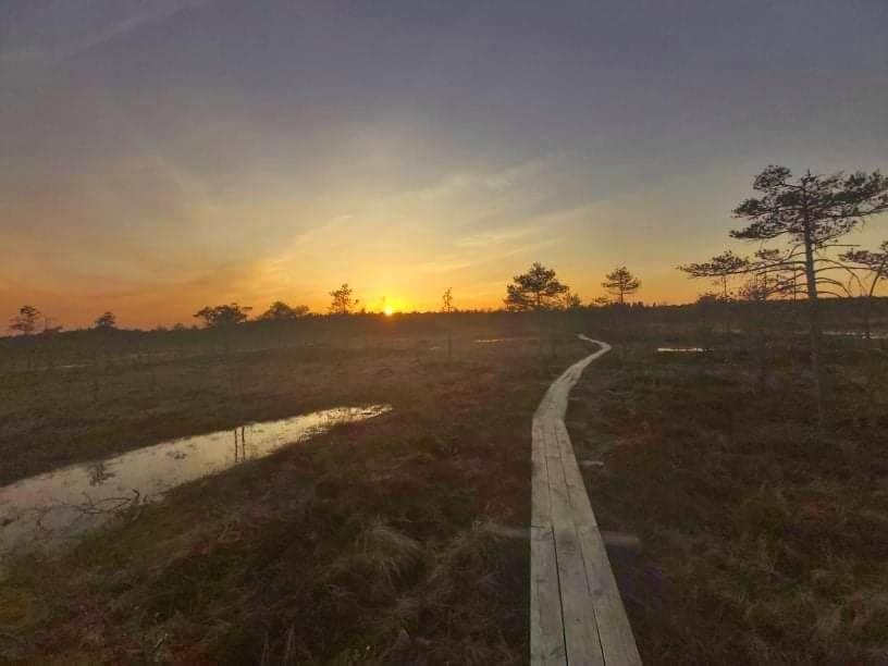 Hotel Kuelalistemaja Kukruse Residents Kohtla-Järve Exteriér fotografie